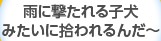 小学２年の時から、女を守ってきた