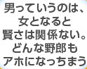 男っていうのは、女となると賢さは関係ない。どんな野郎もアホになっちまう